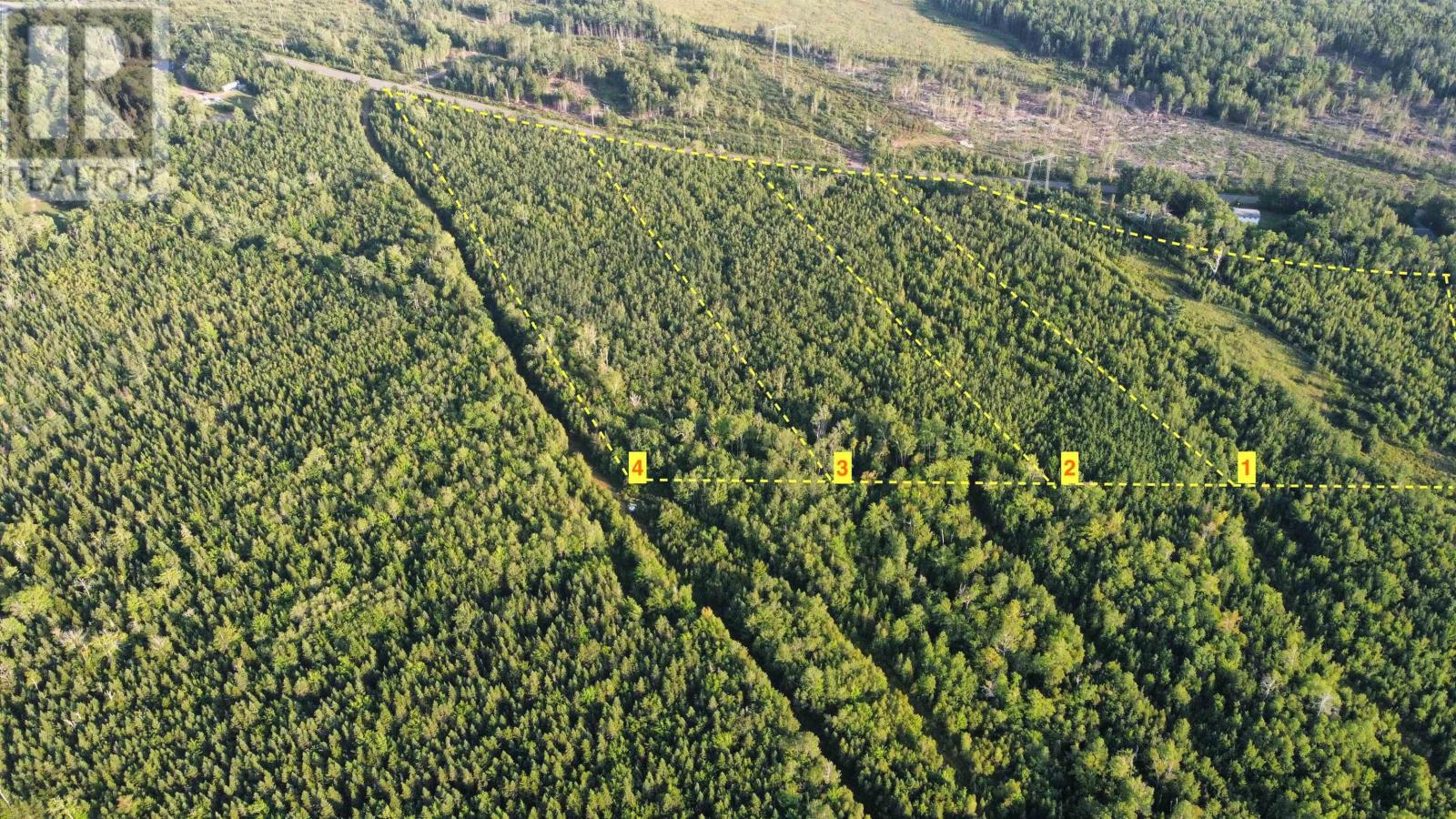 Vacant Lots Highway 321, Roslin, Nova Scotia  B0K 1K0 - Photo 1 - 202422306