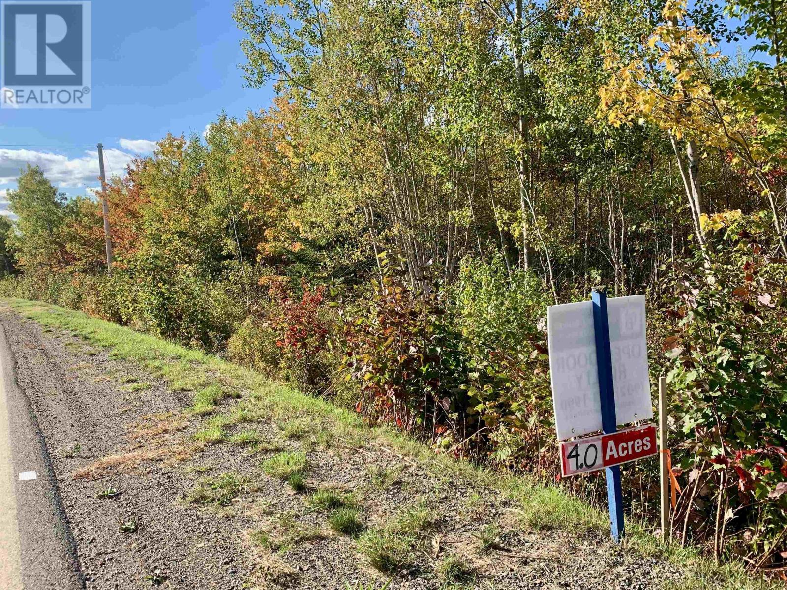 Vacant Lots Highway 321, Roslin, Nova Scotia  B0K 1K0 - Photo 10 - 202422306