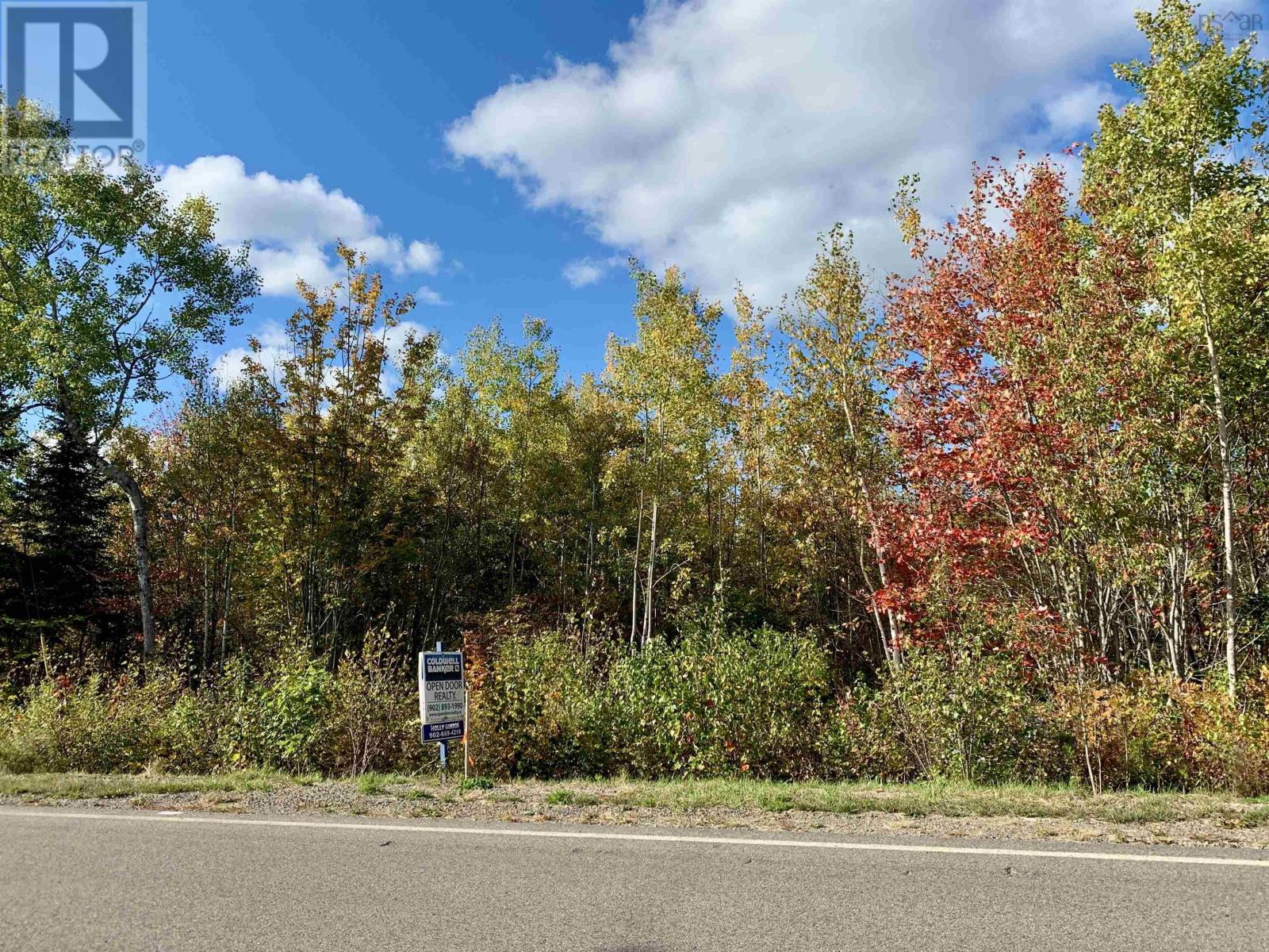 Vacant Lots Highway 321, Roslin, Nova Scotia  B0K 1K0 - Photo 11 - 202422306