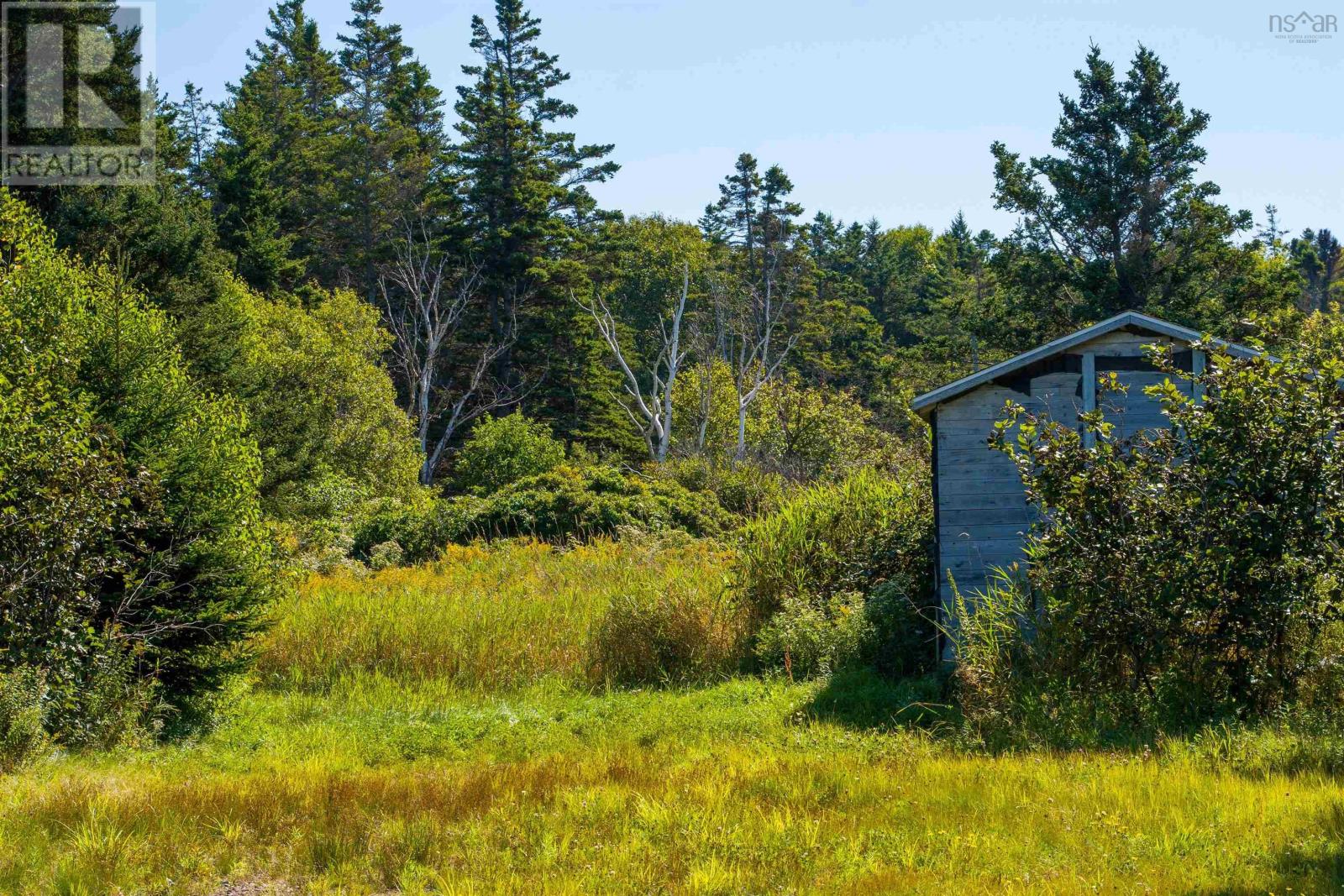 Shore Road East E, Port George, Nova Scotia  B0S 1P0 - Photo 11 - 202422318