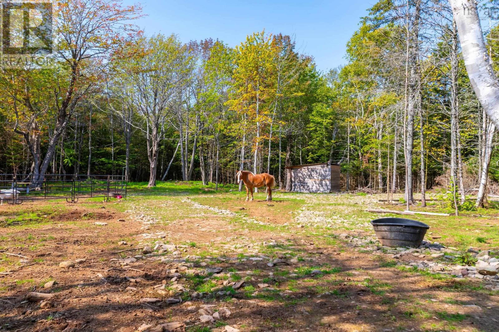 Lot T-4 Brow Of Mountain Road, Black Rock, Nova Scotia  B0P 1V0 - Photo 11 - 202422341