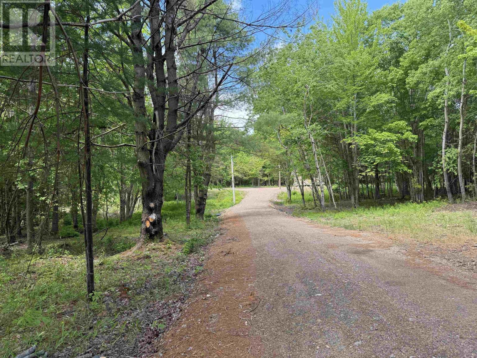 9254 Marble Mountain Road, Valley Mills, Nova Scotia  B0E 2Y0 - Photo 21 - 202422406