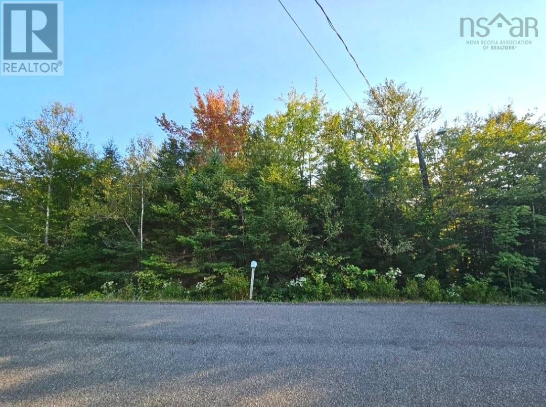 Lot 10-20 Campbell Road, Debert, Nova Scotia  B0M 1G0 - Photo 3 - 202422455