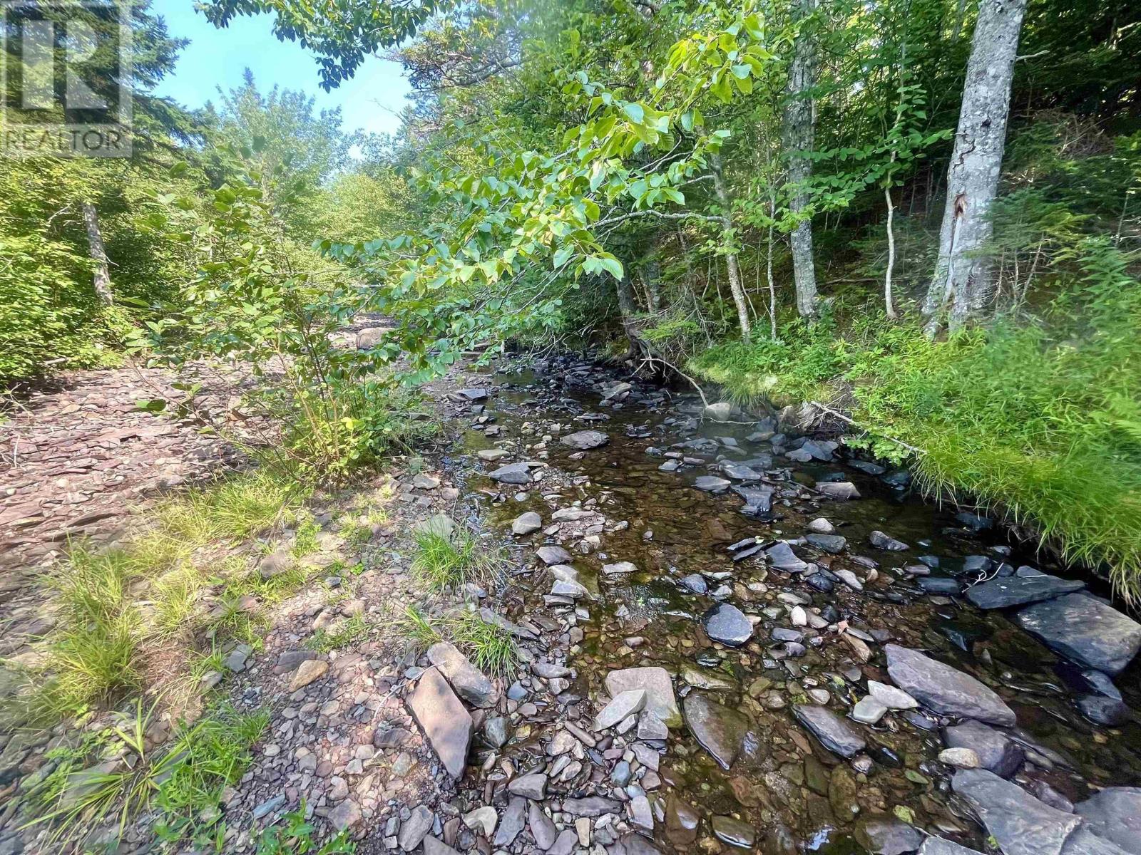 1520 Back Road, River Bourgeois, Nova Scotia  B0E 2X0 - Photo 26 - 202422473