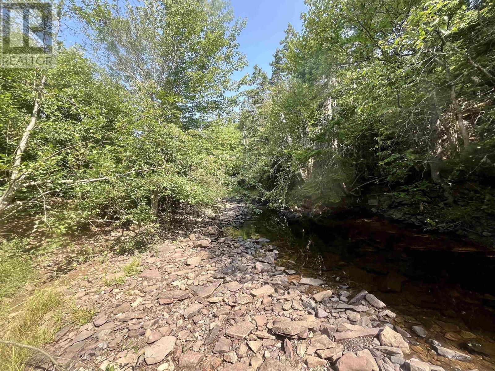 1520 Back Road, River Bourgeois, Nova Scotia  B0E 2X0 - Photo 27 - 202422473