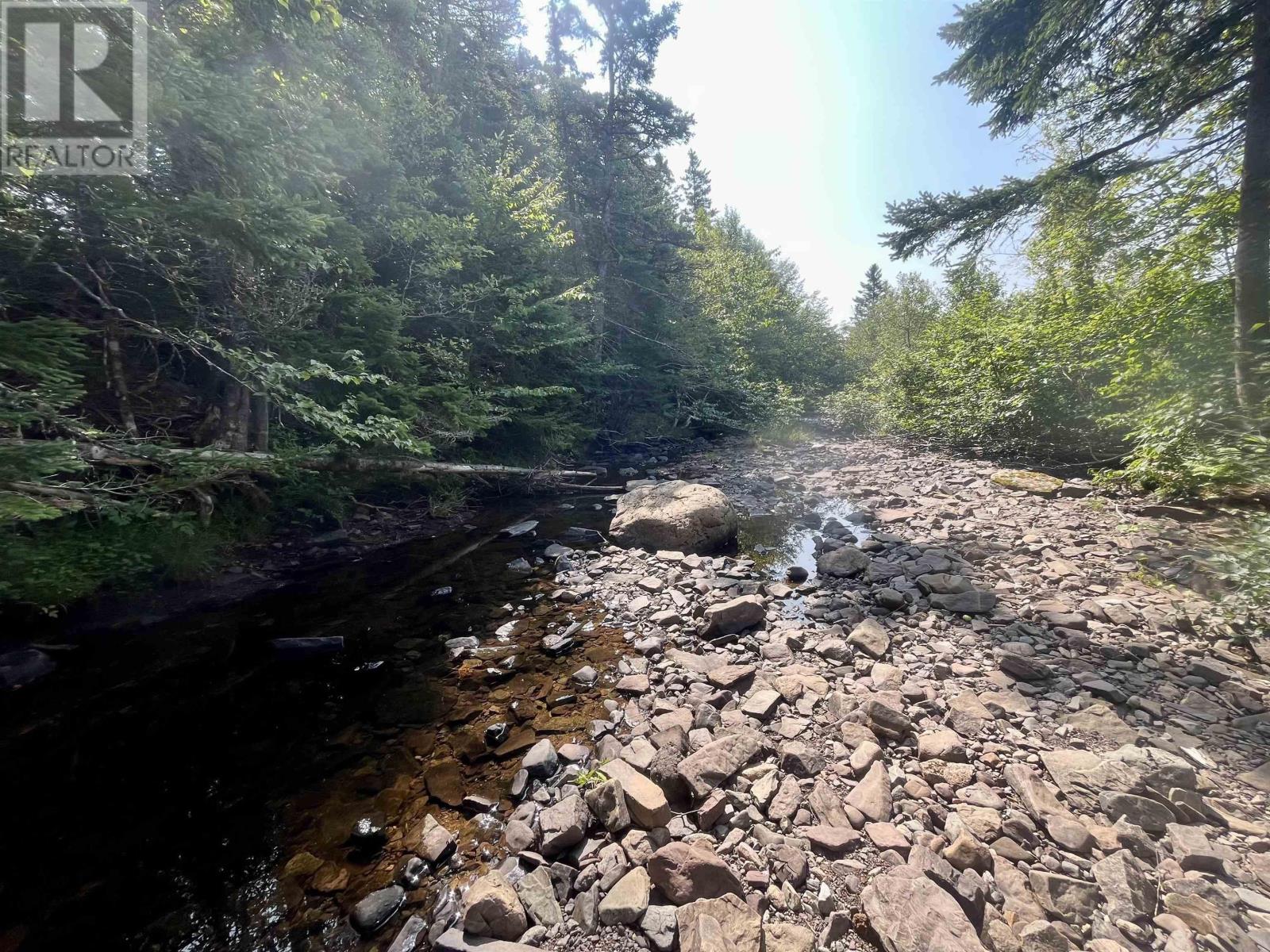 1520 Back Road, River Bourgeois, Nova Scotia  B0E 2X0 - Photo 29 - 202422473