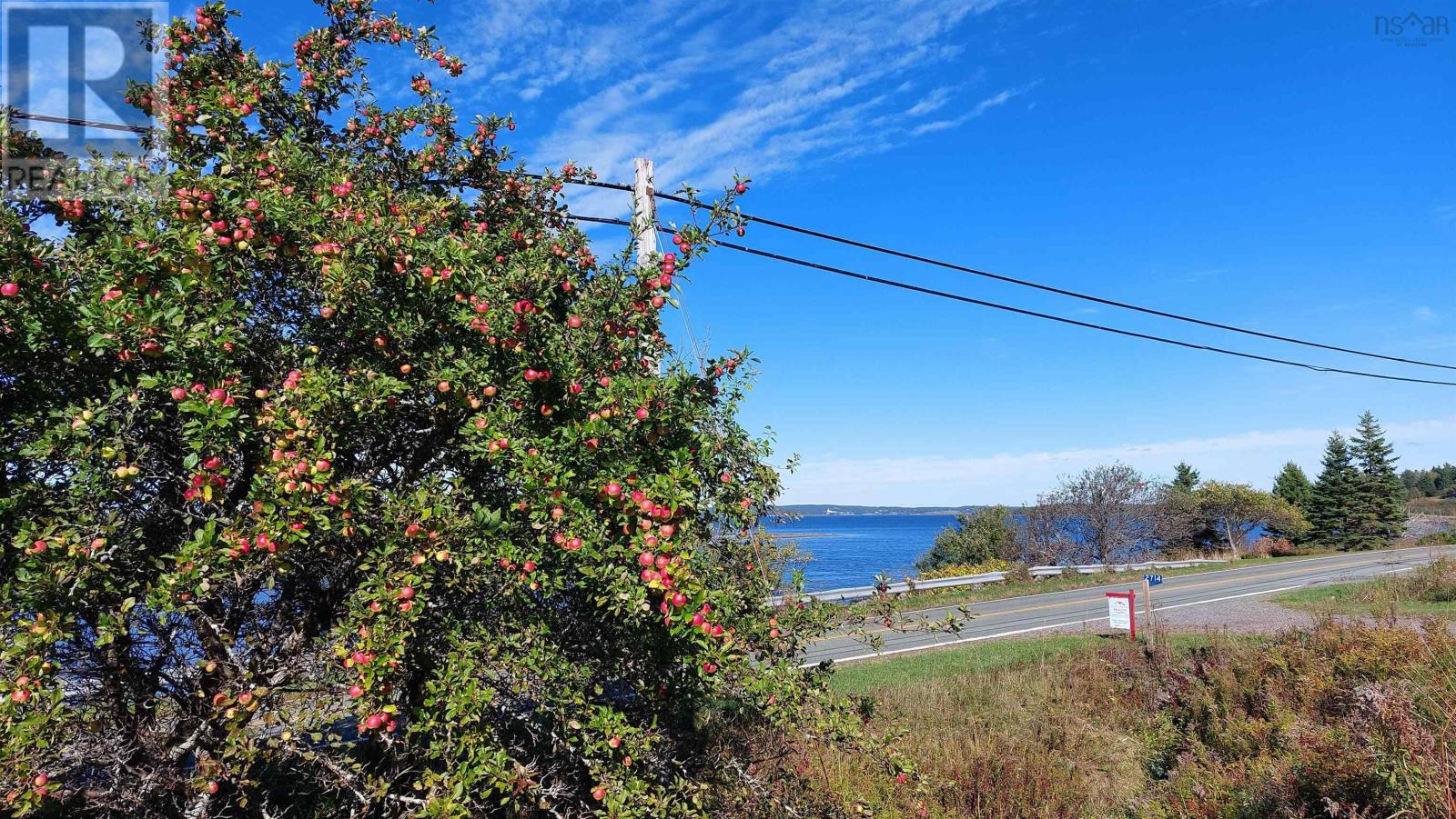 2714 Highway 320, Poulamon, Nova Scotia  B0E 1K0 - Photo 6 - 202422514