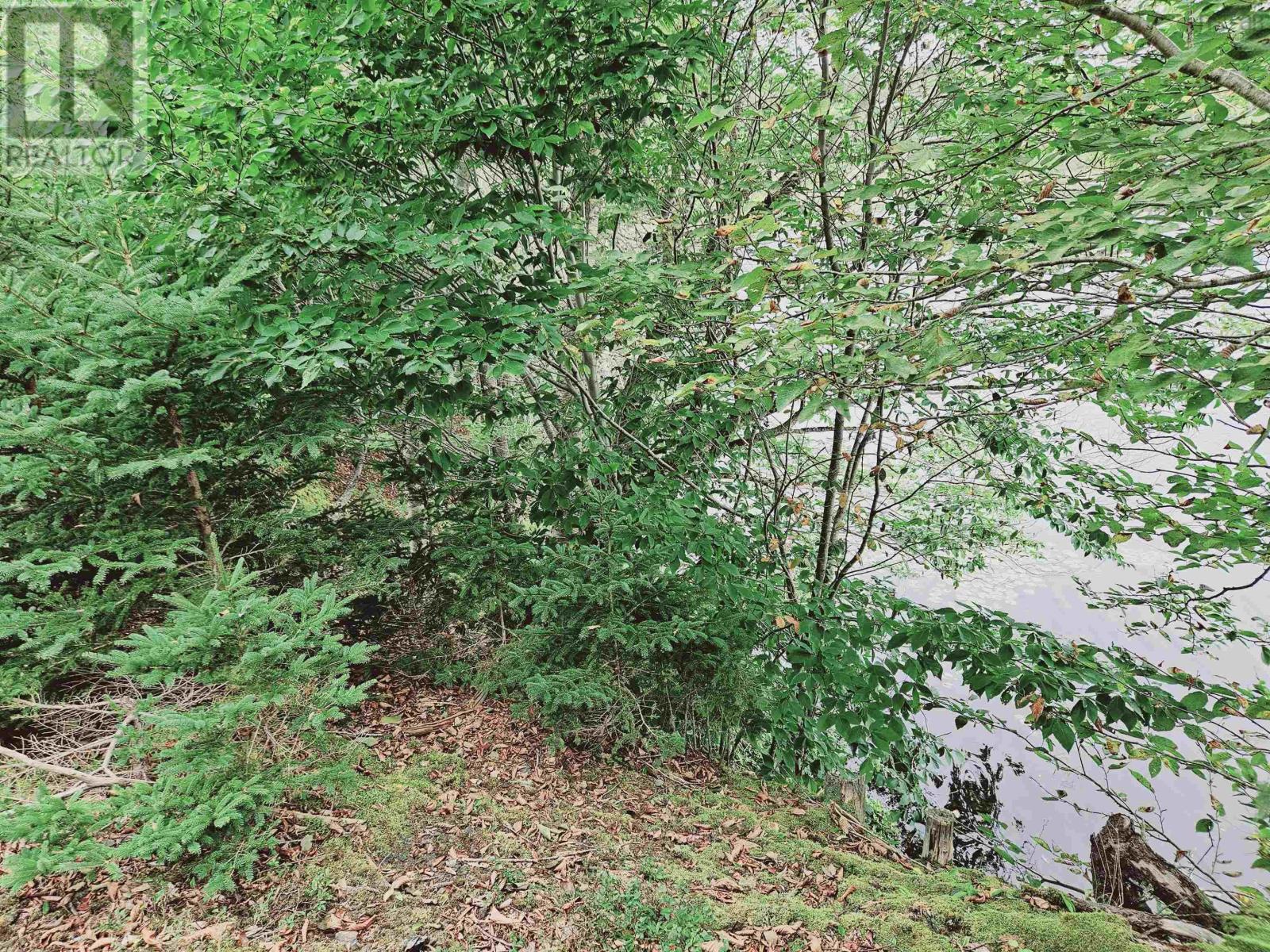 Lot 3a Masons Beach Road, First South, Nova Scotia  B0J 2C0 - Photo 10 - 202422535