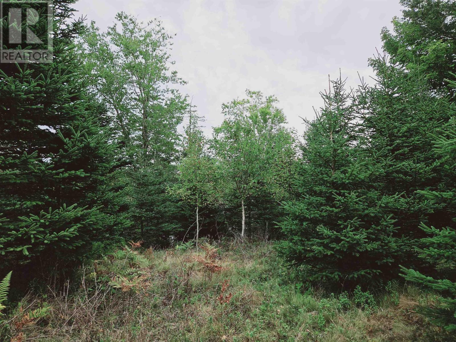 Lot 3a Masons Beach Road, First South, Nova Scotia  B0J 2C0 - Photo 12 - 202422535