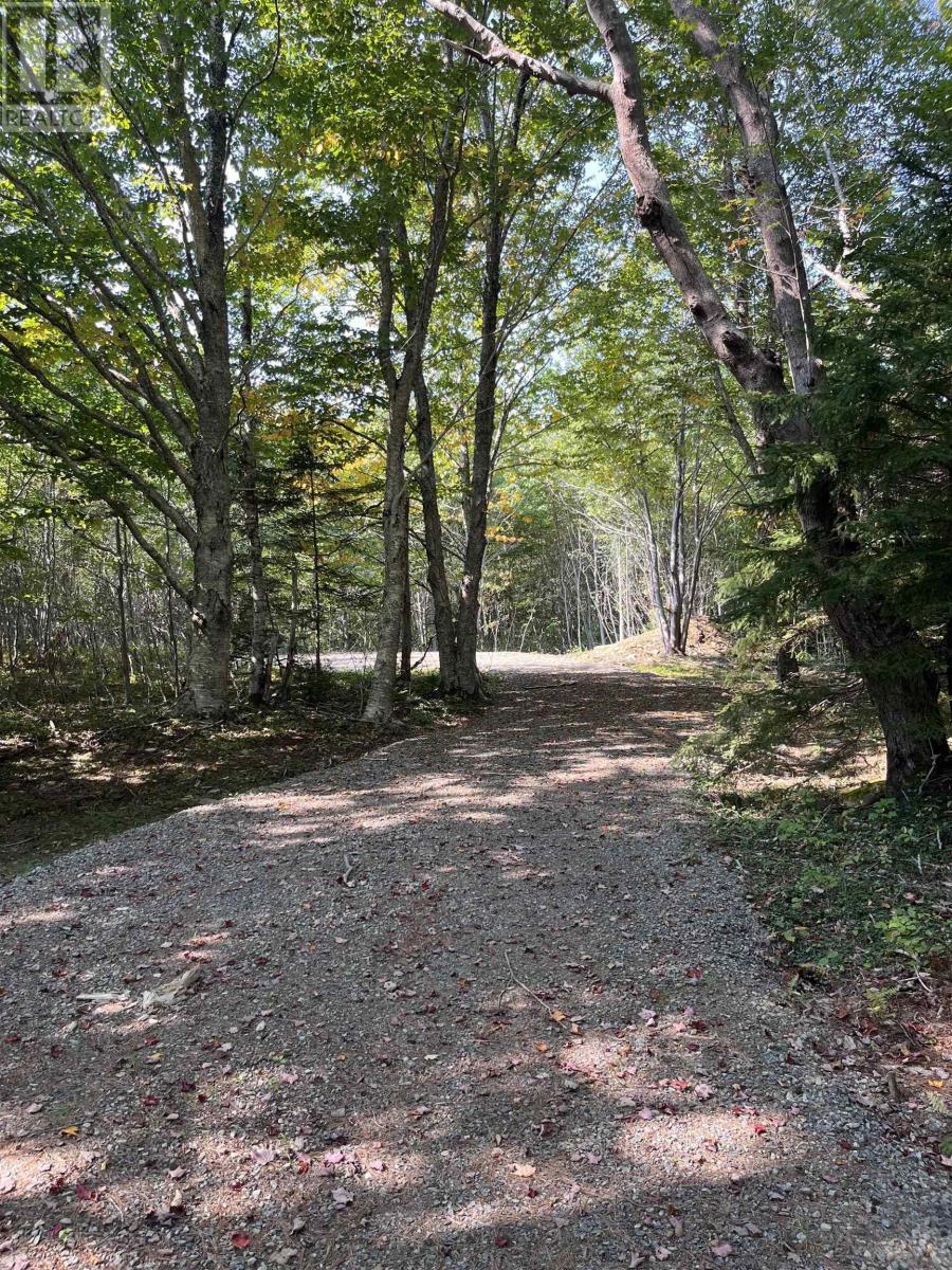 Lot 340 Highway, Hassett, Nova Scotia  B0W 3T0 - Photo 10 - 202422587