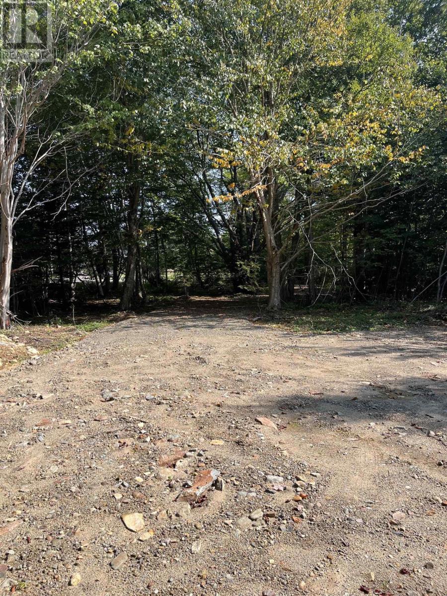 Lot 340 Highway, Hassett, Nova Scotia  B0W 3T0 - Photo 18 - 202422587