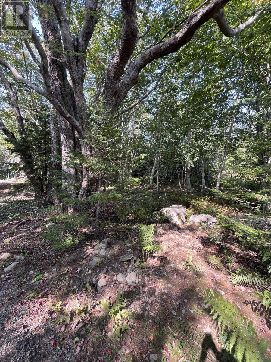 Lot 340 Highway, Hassett, Nova Scotia  B0W 3T0 - Photo 2 - 202422587