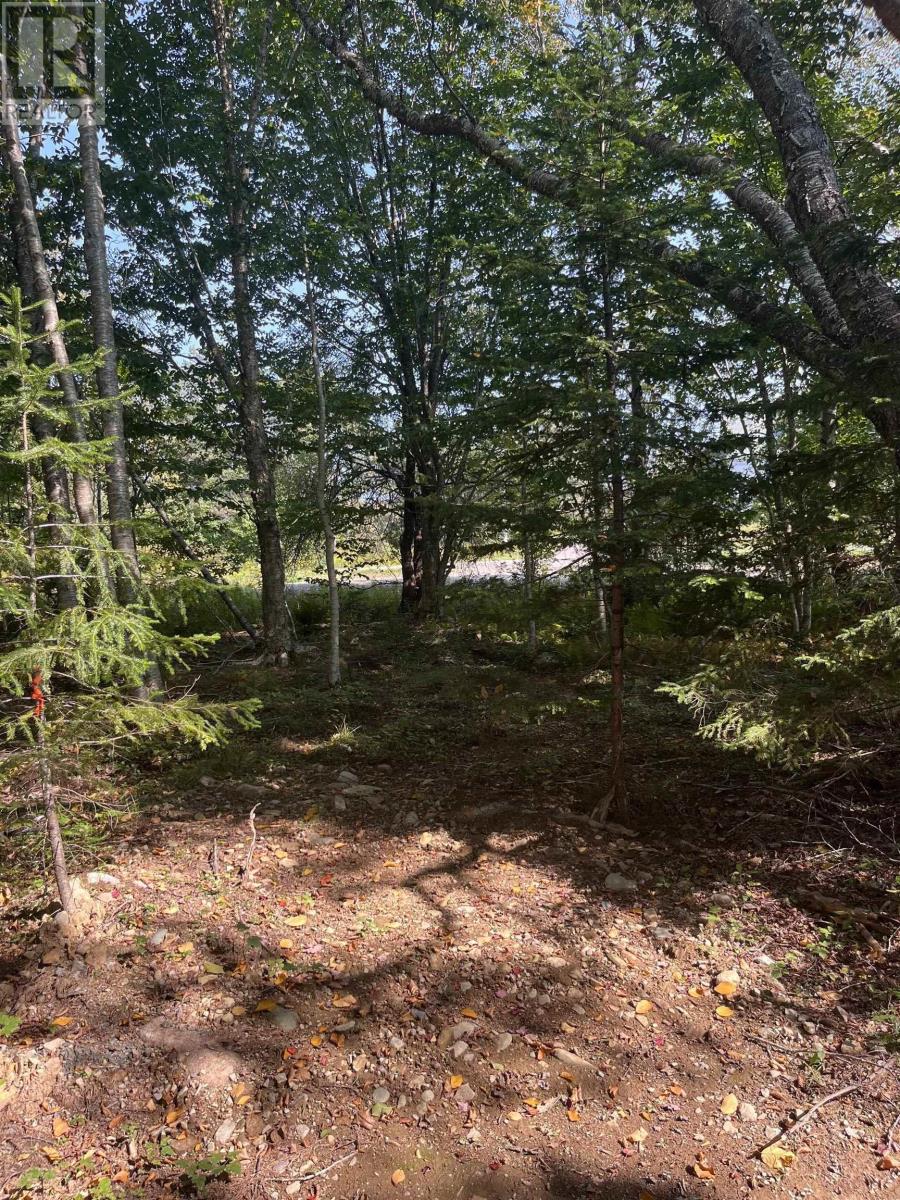 Lot 340 Highway, Hassett, Nova Scotia  B0W 3T0 - Photo 4 - 202422587