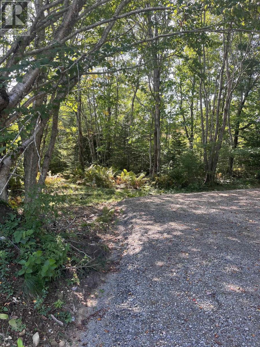 Lot 340 Highway, Hassett, Nova Scotia  B0W 3T0 - Photo 7 - 202422587