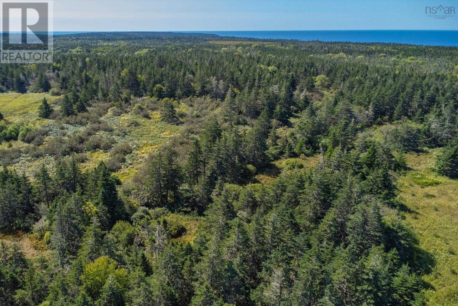 Acreage Bear Cove Road, St. Alphonse, Nova Scotia  B0W 2J0 - Photo 10 - 202422597