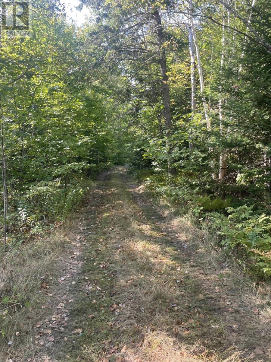 Old Mulgrave Road, Monastery, Nova Scotia  B0H 1W0 - Photo 2 - 202422694