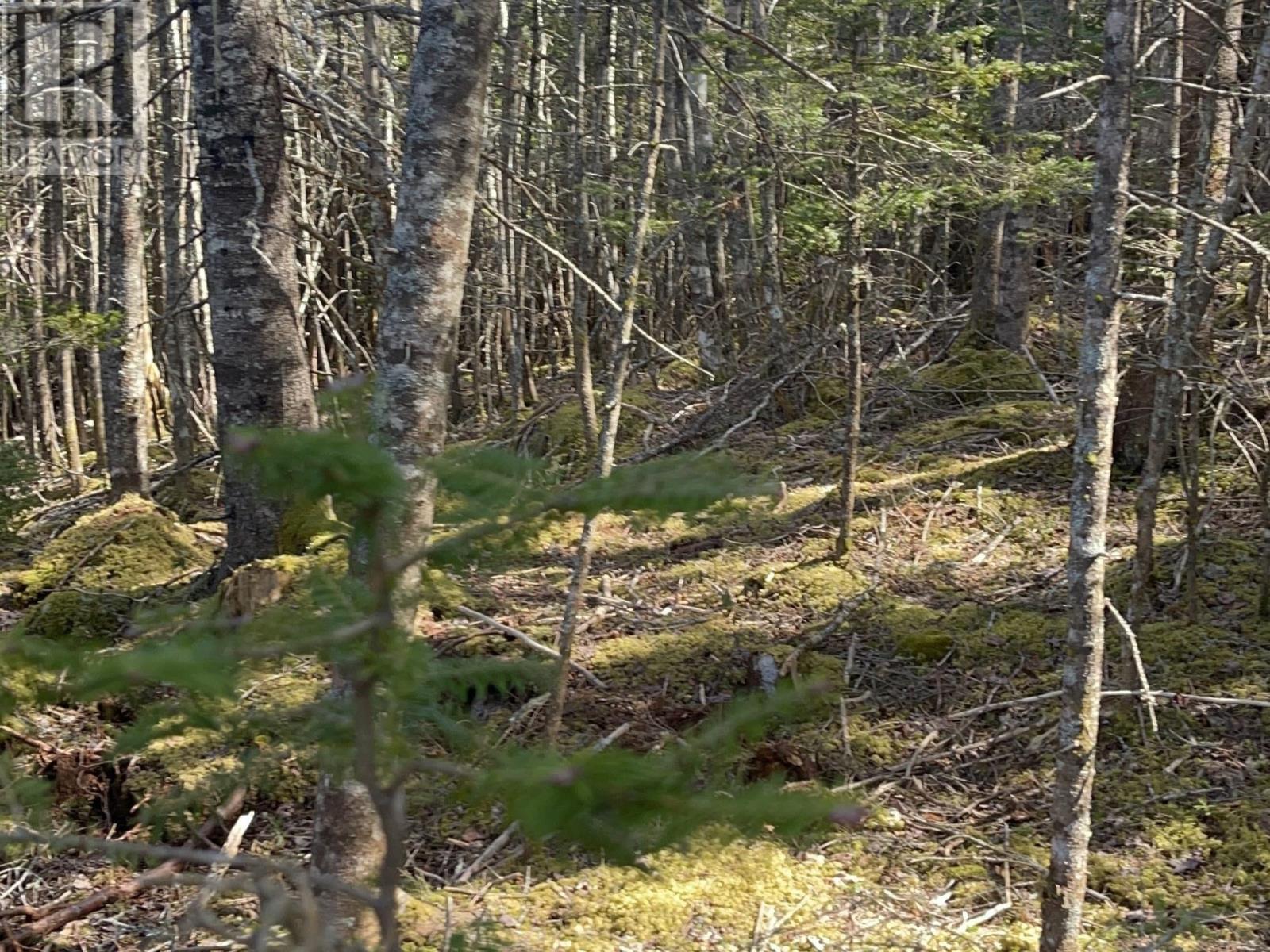 Cannon Rock Lane, Shad Bay, Nova Scotia  B3T 2H3 - Photo 11 - 202422698