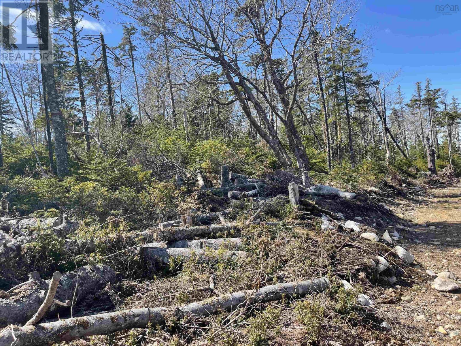 Cannon Rock Lane, Shad Bay, Nova Scotia  B3T 2H3 - Photo 12 - 202422698