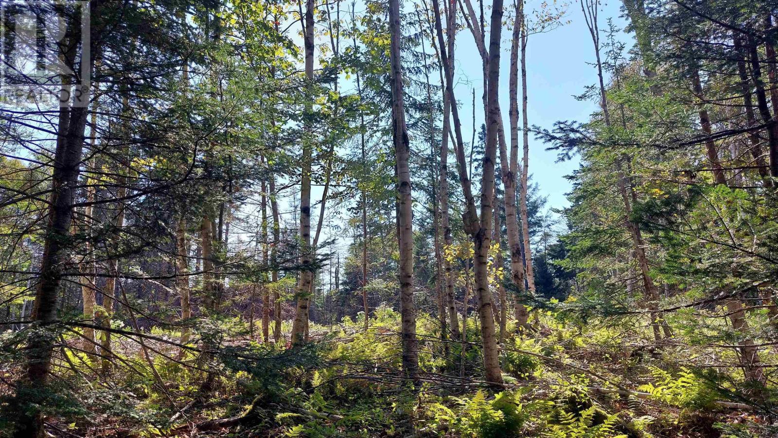 Lot 23 Jonathan R Bouman Ln, Evanston, Nova Scotia  B0E 1J0 - Photo 10 - 202422748