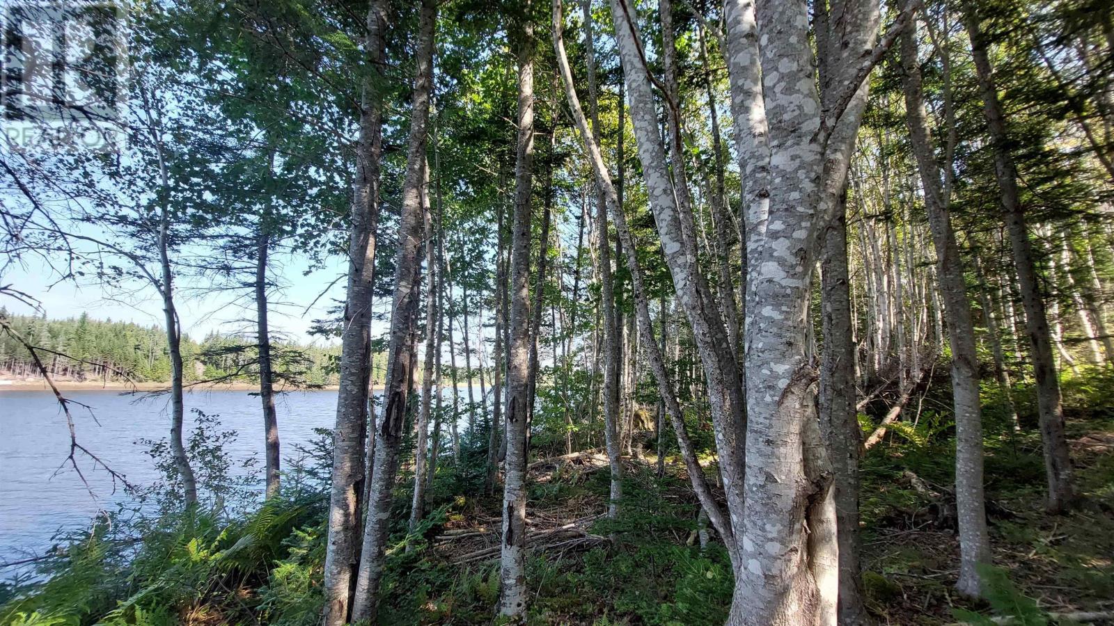 Lot 23 Jonathan R Bouman Ln, Evanston, Nova Scotia  B0E 1J0 - Photo 14 - 202422748