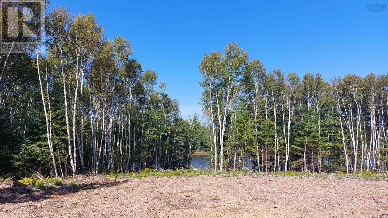 Lot 23 Jonathan R Bouman Ln, Evanston, Nova Scotia  B0E 1J0 - Photo 8 - 202422748