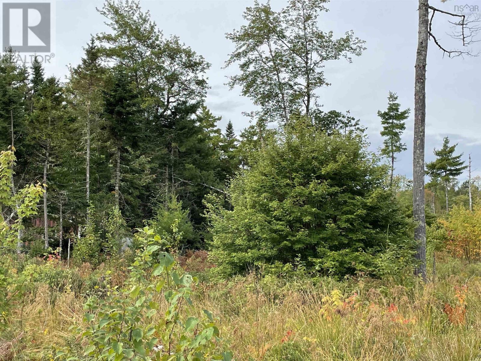 Lot 24-1 Lower Stave Lake, Upper Ohio, Nova Scotia  B0T 1W0 - Photo 13 - 202422781