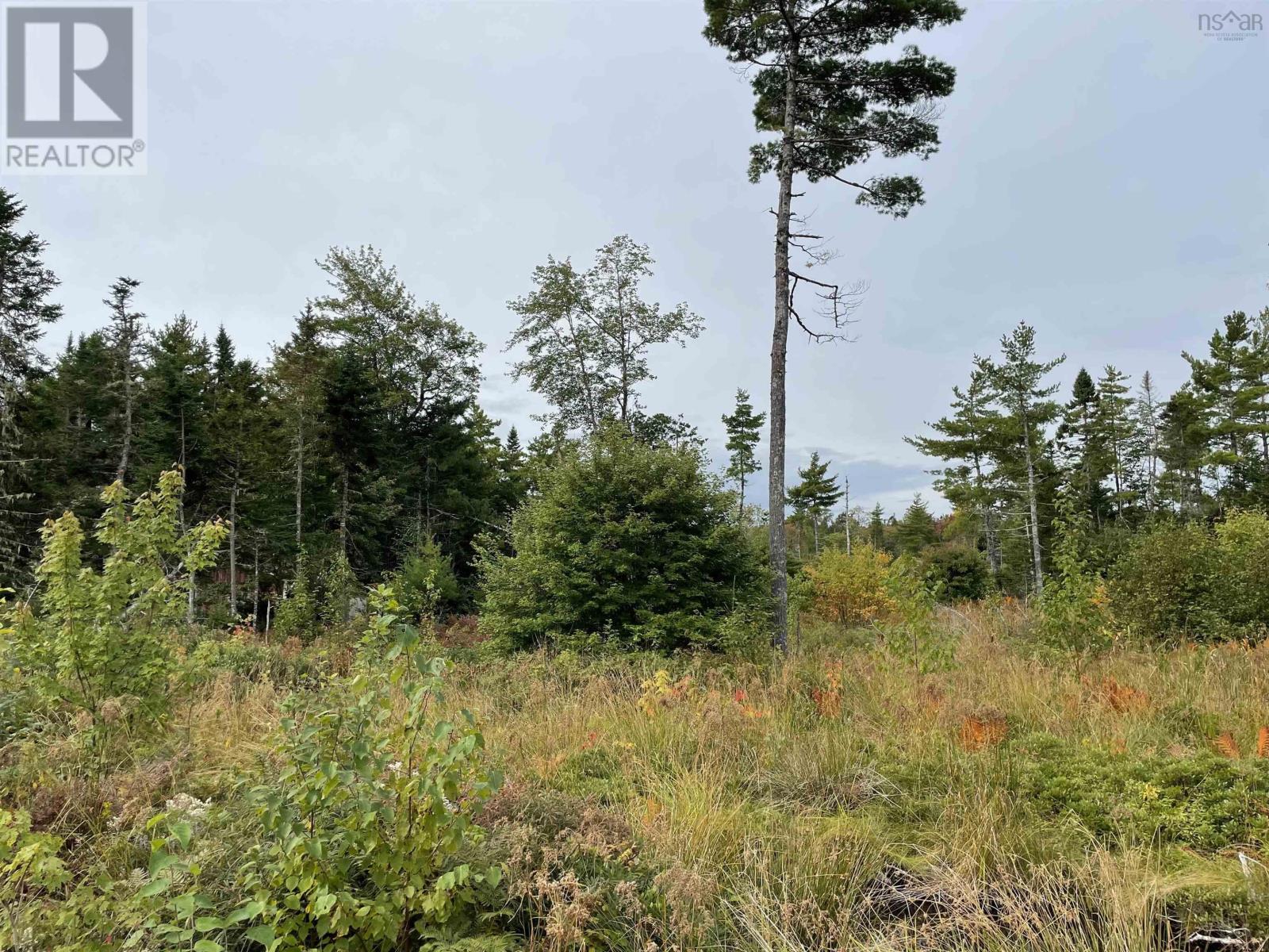 Lot 24-1 Lower Stave Lake, Upper Ohio, Nova Scotia  B0T 1W0 - Photo 14 - 202422781