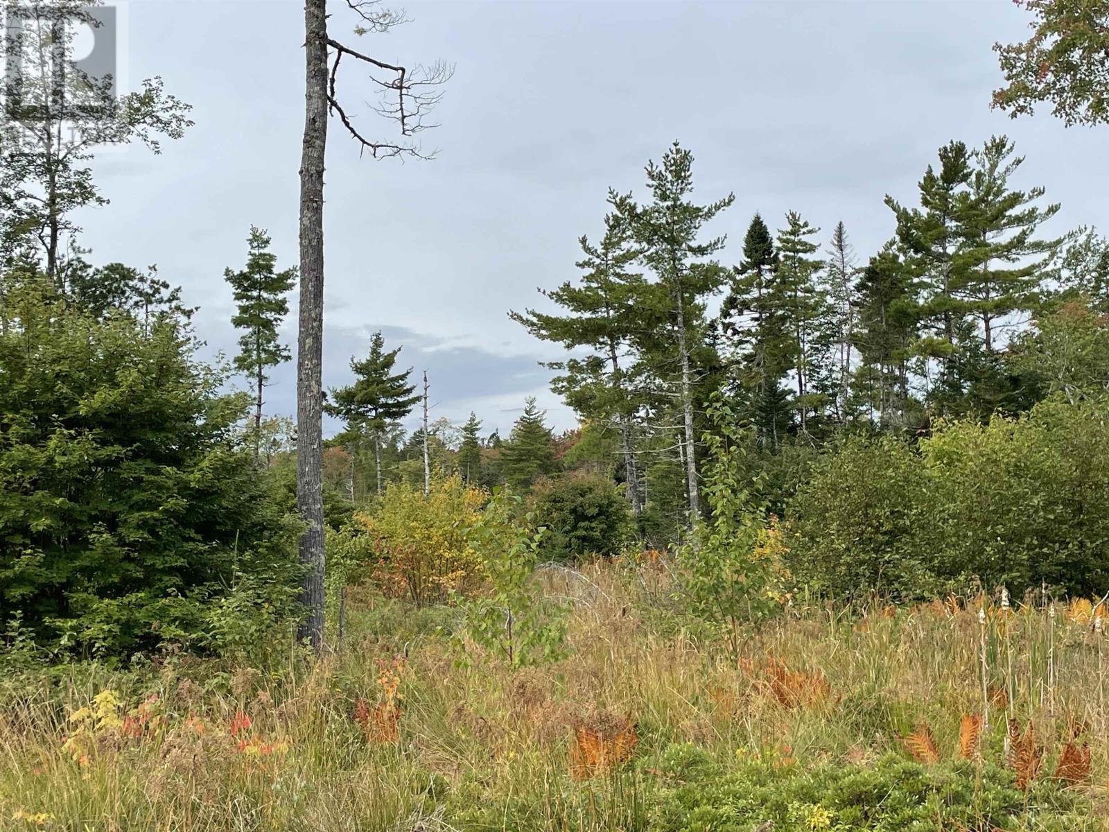 Lot 24-1 Lower Stave Lake, Upper Ohio, Nova Scotia  B0T 1W0 - Photo 15 - 202422781