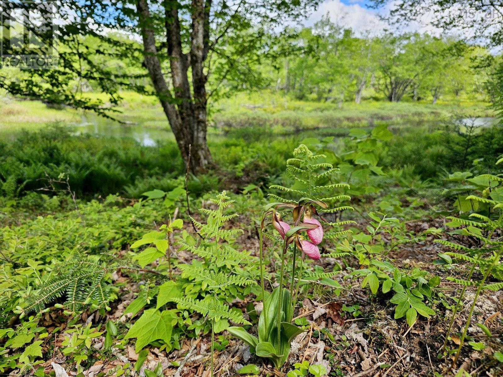 Lot 23p 300 Pine Prince Drive, Briar Lake, Nova Scotia  B0W 2Y0 - Photo 31 - 202422798