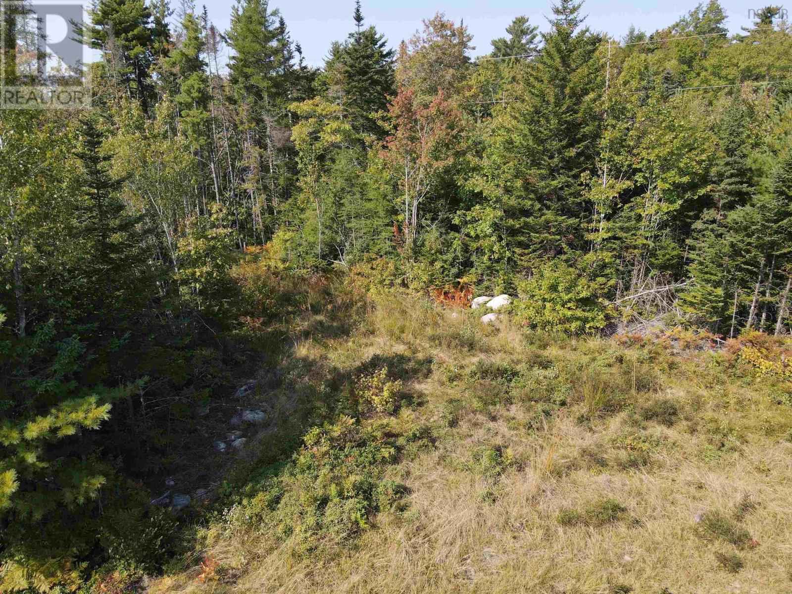 Lot East Sable Road, Sable River, Nova Scotia  B0T 1L0 - Photo 10 - 202422807