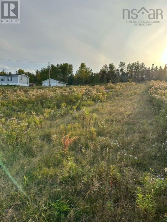 4a Lot4a South River Road, Antigonish County, Nova Scotia  B2G 2P1 - Photo 1 - 202422827