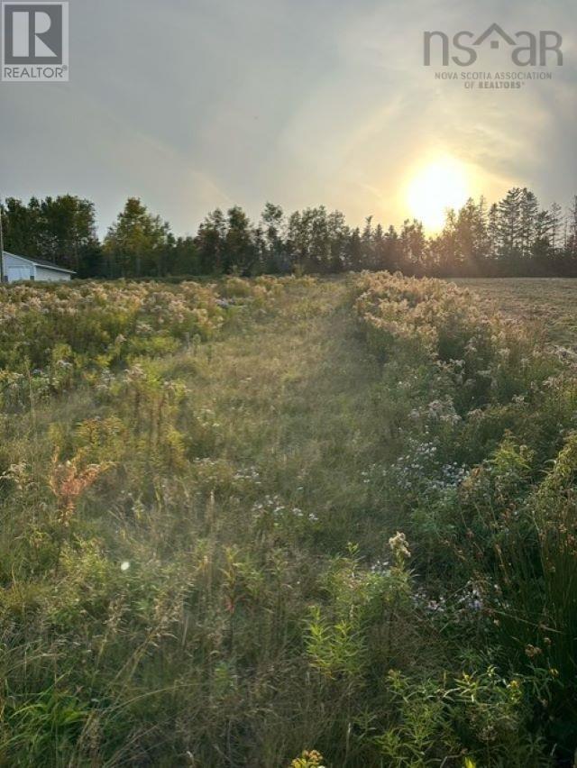 4a Lot4a South River Road, Antigonish County, Nova Scotia  B2G 2P1 - Photo 2 - 202422827