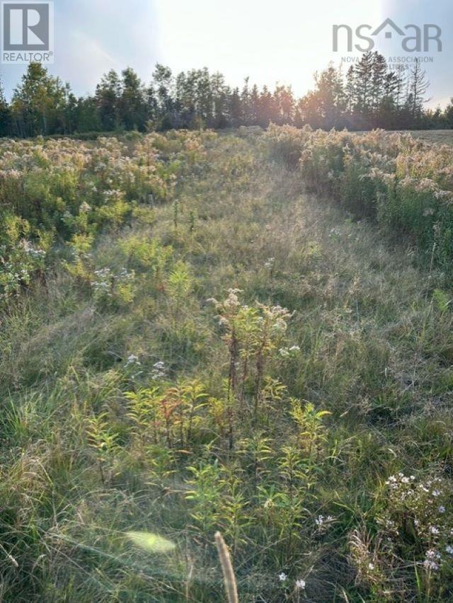 4a Lot4a South River Road, Antigonish County, Nova Scotia  B2G 2P1 - Photo 3 - 202422827