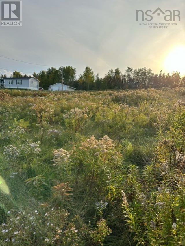 4a Lot4a South River Road, Antigonish County, Nova Scotia  B2G 2P1 - Photo 5 - 202422827