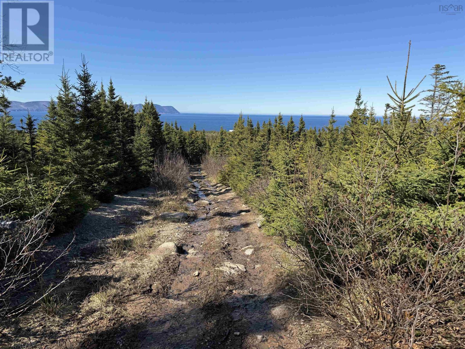 White Point Road, New Haven, Nova Scotia  B0C 1N0 - Photo 11 - 202422885