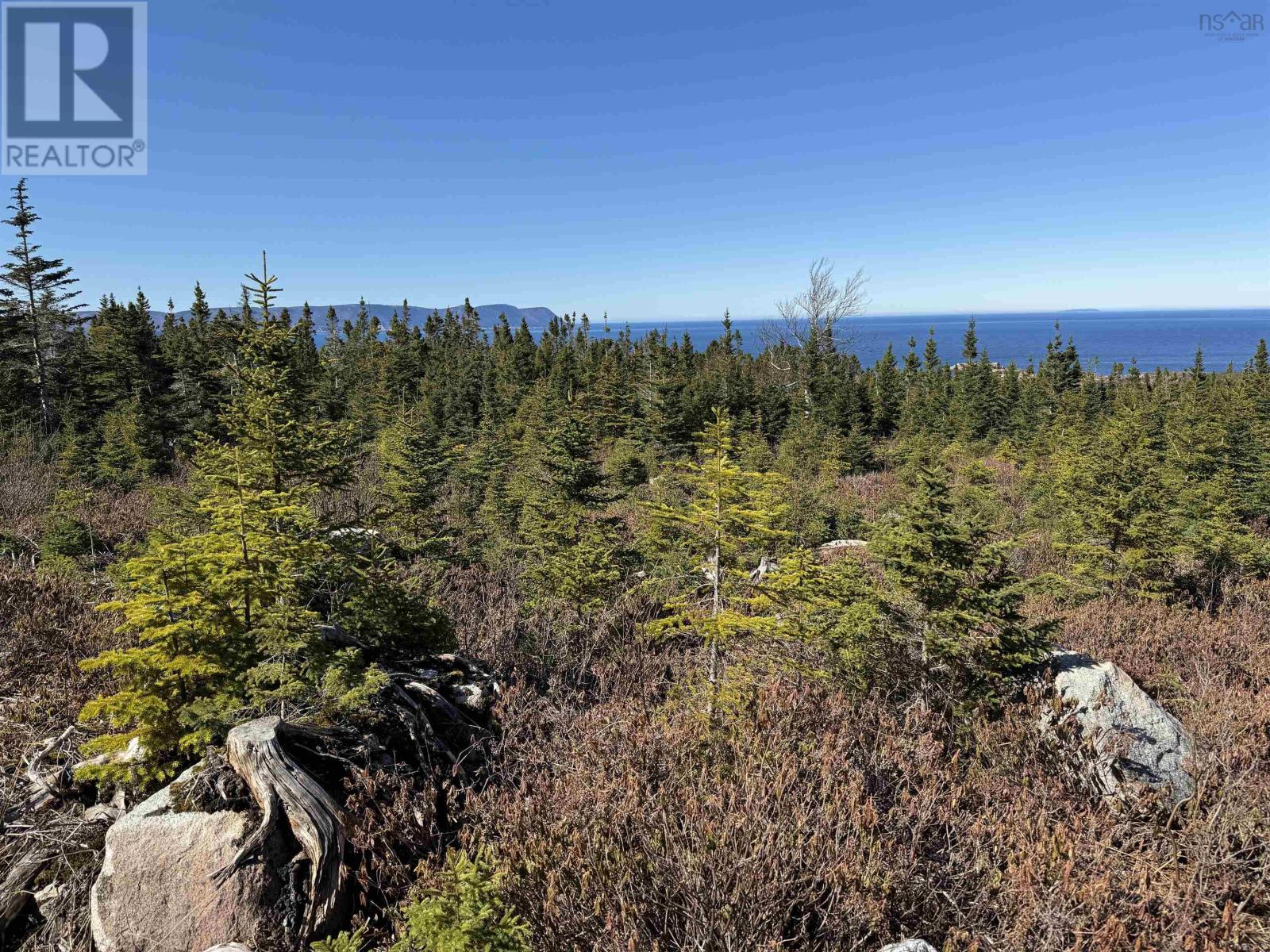 White Point Road, New Haven, Nova Scotia  B0C 1N0 - Photo 12 - 202422885