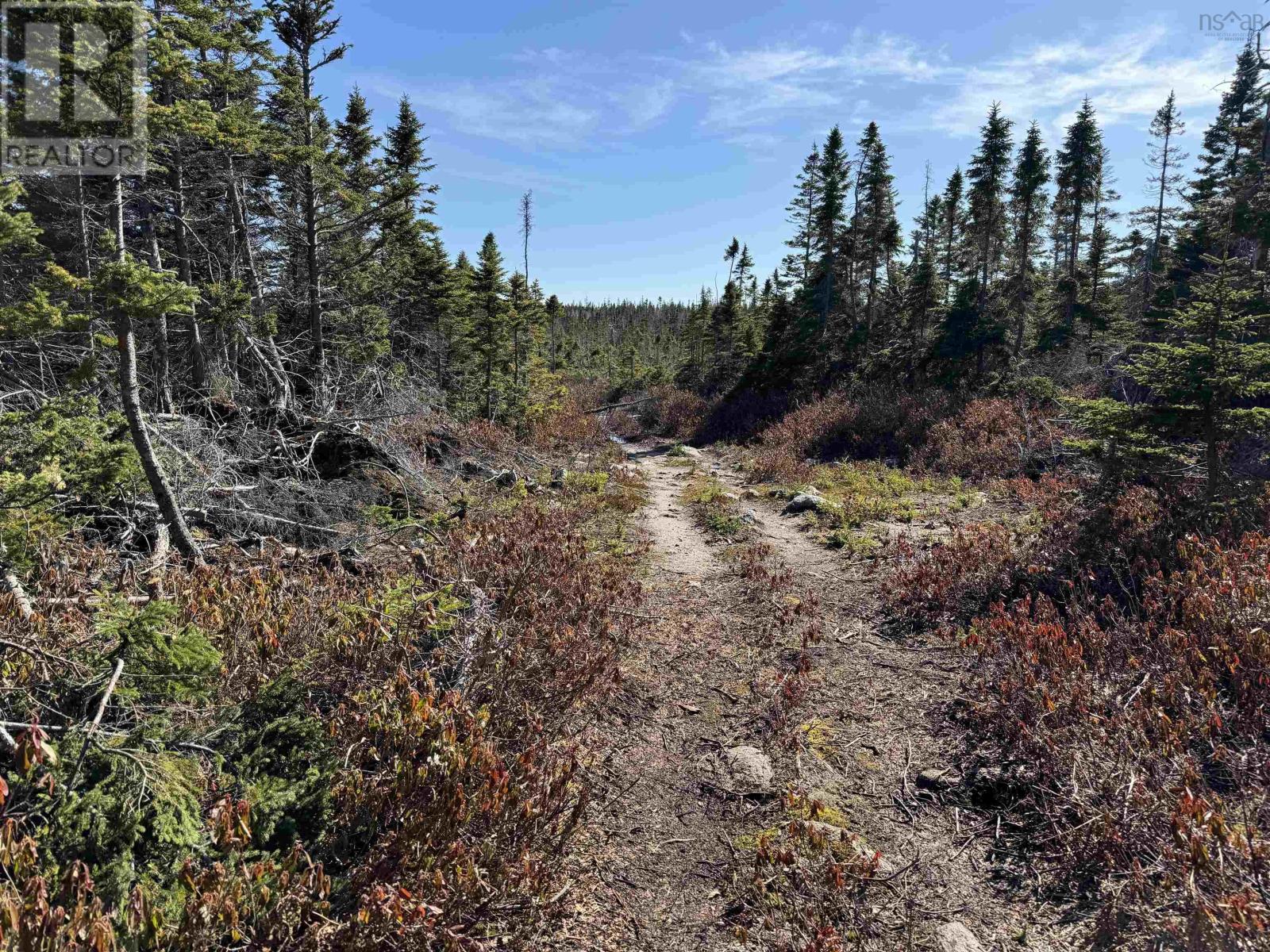 White Point Road, New Haven, Nova Scotia  B0C 1N0 - Photo 13 - 202422885