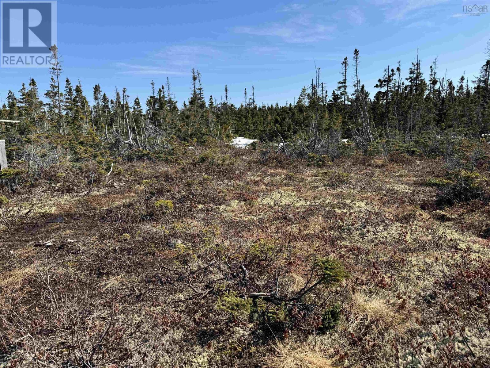 White Point Road, New Haven, Nova Scotia  B0C 1N0 - Photo 14 - 202422885