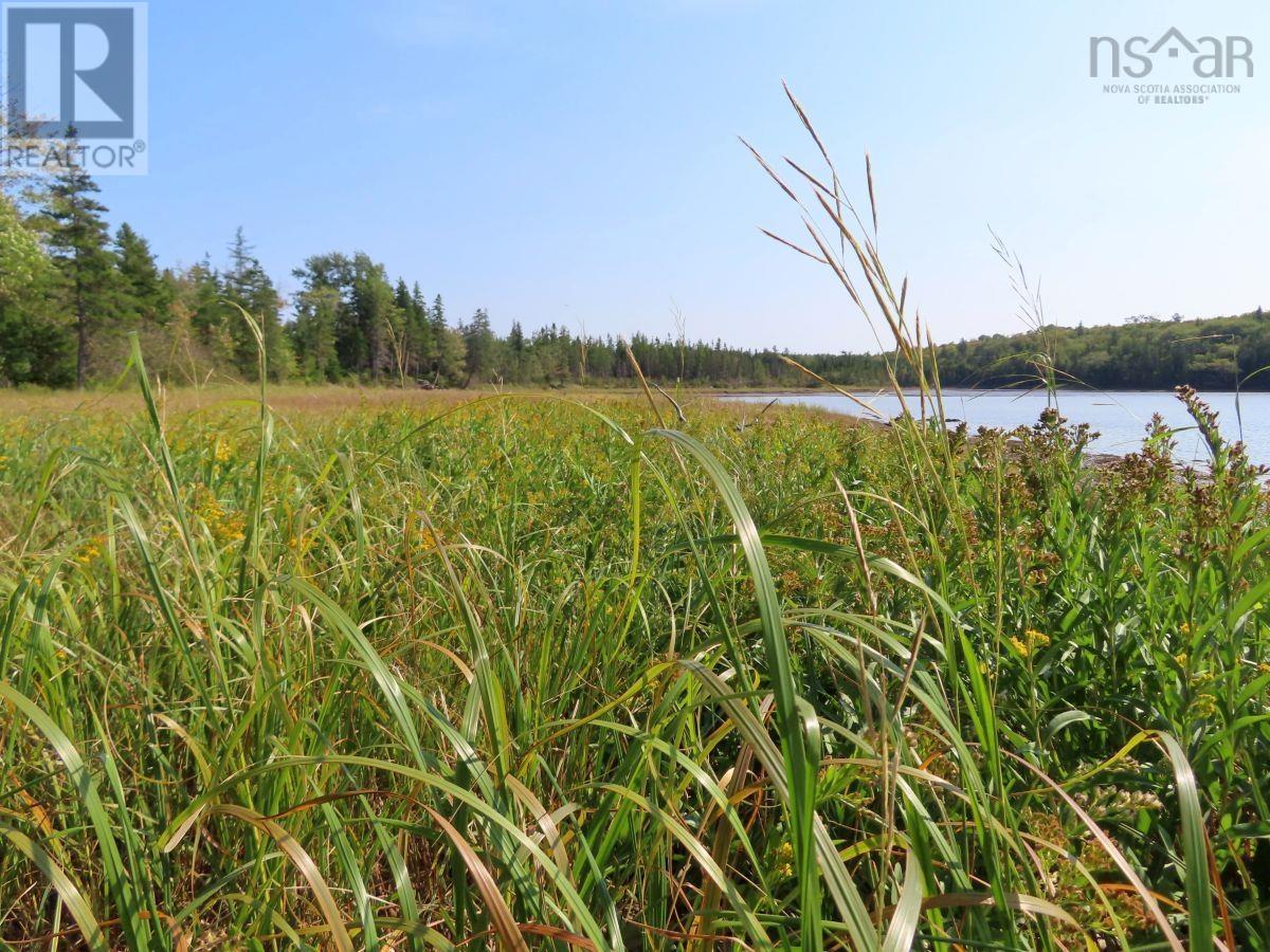 Lot 5 Basin Road, Evanston, Nova Scotia  B0E 1J0 - Photo 11 - 202422890