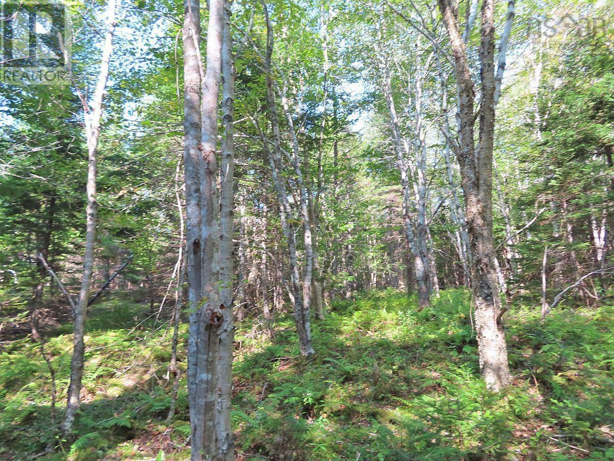 Lot 5 Basin Road, Evanston, Nova Scotia  B0E 1J0 - Photo 16 - 202422890