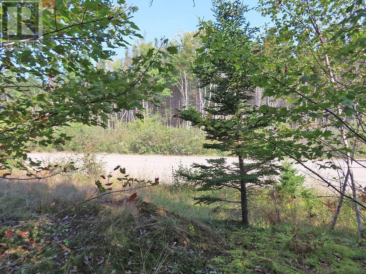 Lot 5 Basin Road, Evanston, Nova Scotia  B0E 1J0 - Photo 21 - 202422890