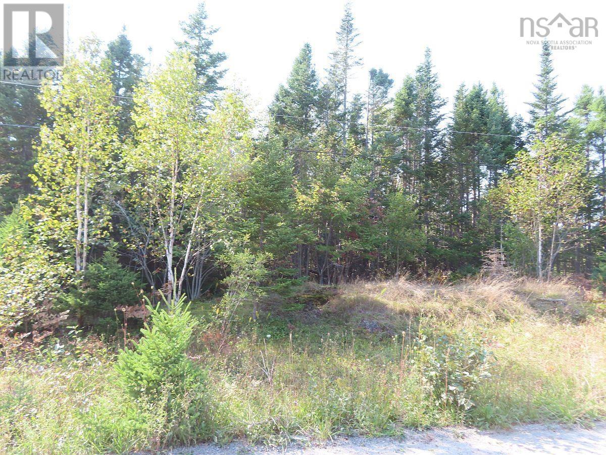 Lot 5 Basin Road, Evanston, Nova Scotia  B0E 1J0 - Photo 22 - 202422890