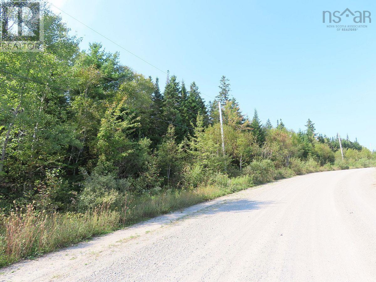 Lot 5 Basin Road, Evanston, Nova Scotia  B0E 1J0 - Photo 23 - 202422890