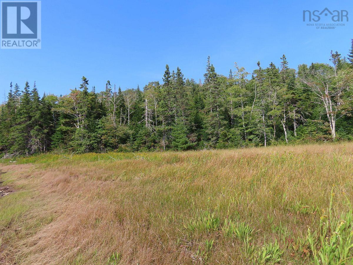 Lot 5 Basin Road, Evanston, Nova Scotia  B0E 1J0 - Photo 7 - 202422890