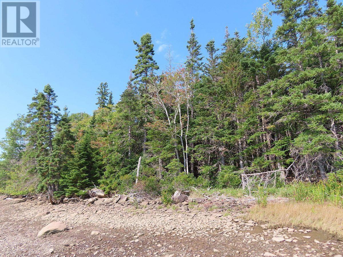 Lot 5 Basin Road, Evanston, Nova Scotia  B0E 1J0 - Photo 8 - 202422890