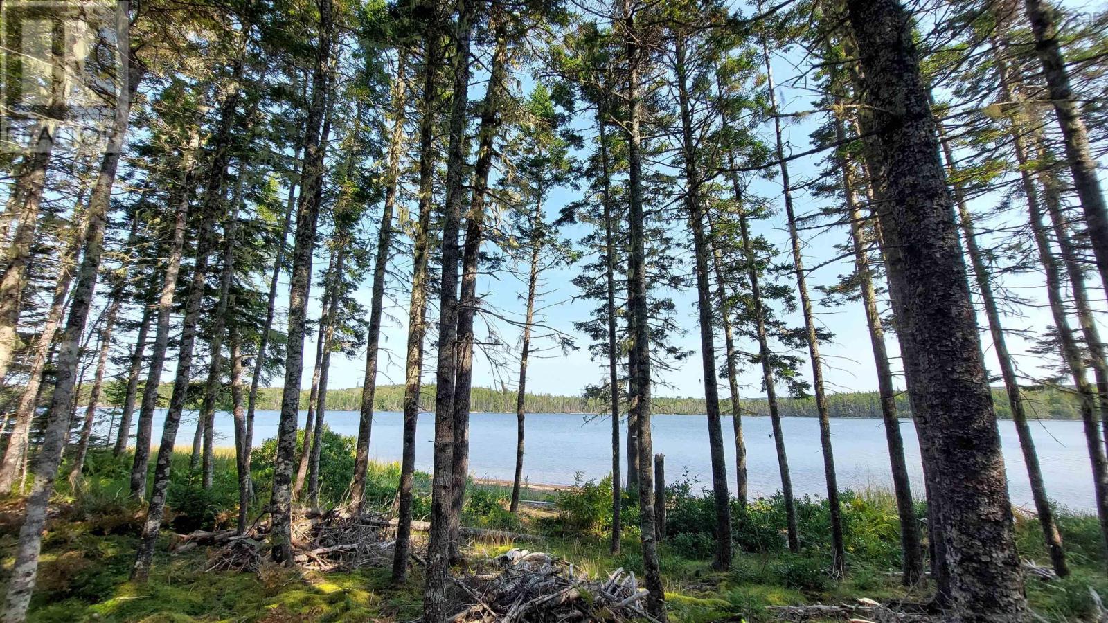 Lot 25 Pia Kaestner Lane, Hay Cove, Nova Scotia  B0E 3B0 - Photo 8 - 202422905