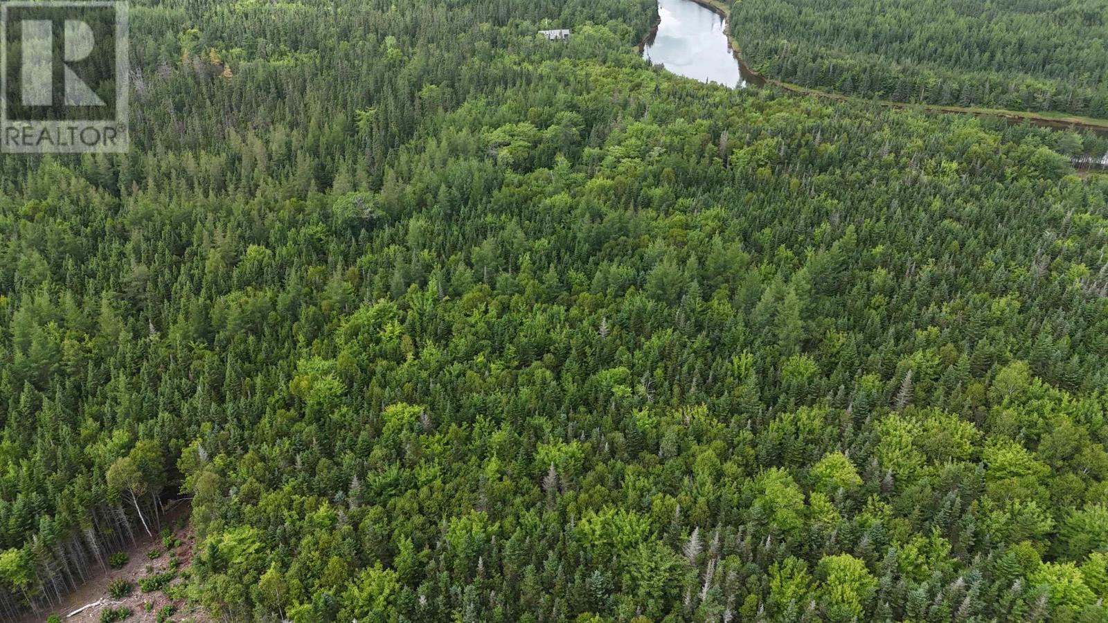 Lot 4 Helmuts Lane, Cleveland, Nova Scotia  B0E 1J0 - Photo 3 - 202422907