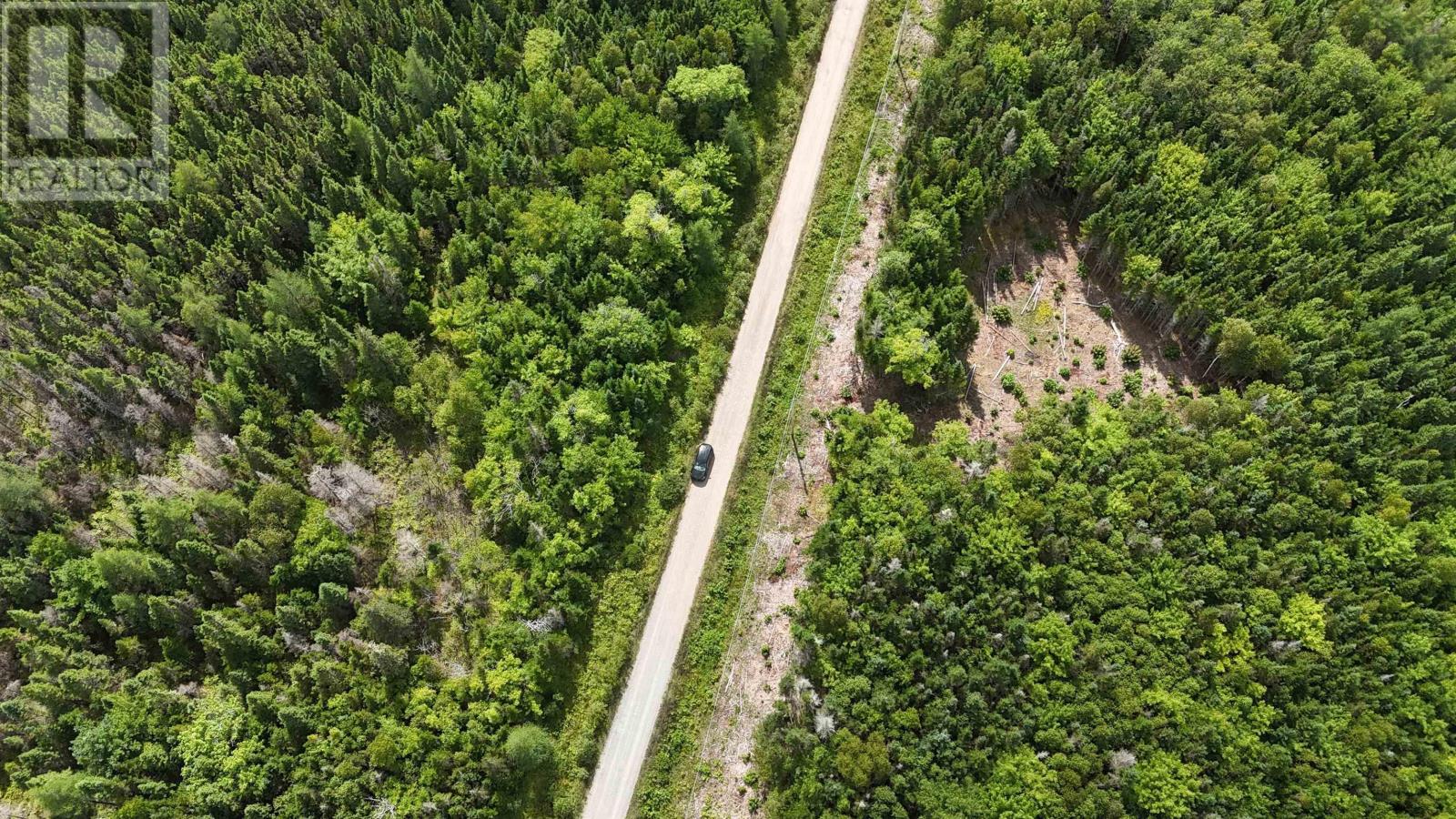 Lot 4 Helmuts Lane, Cleveland, Nova Scotia  B0E 1J0 - Photo 6 - 202422907