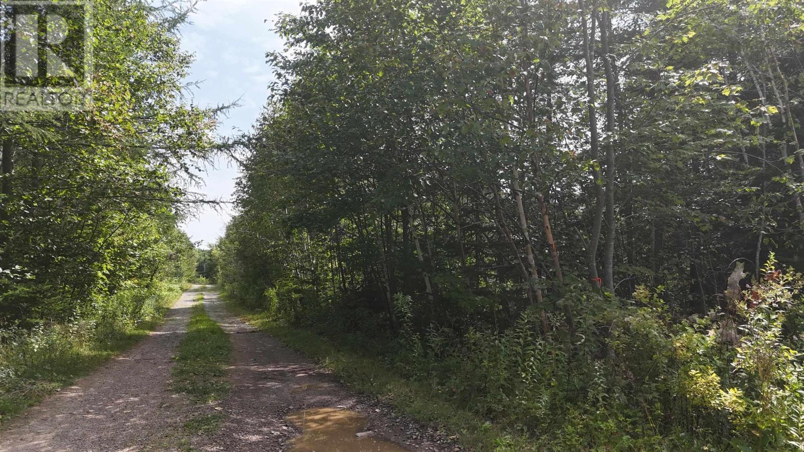 Lot 4 Helmuts Lane, Cleveland, Nova Scotia  B0E 1J0 - Photo 7 - 202422907