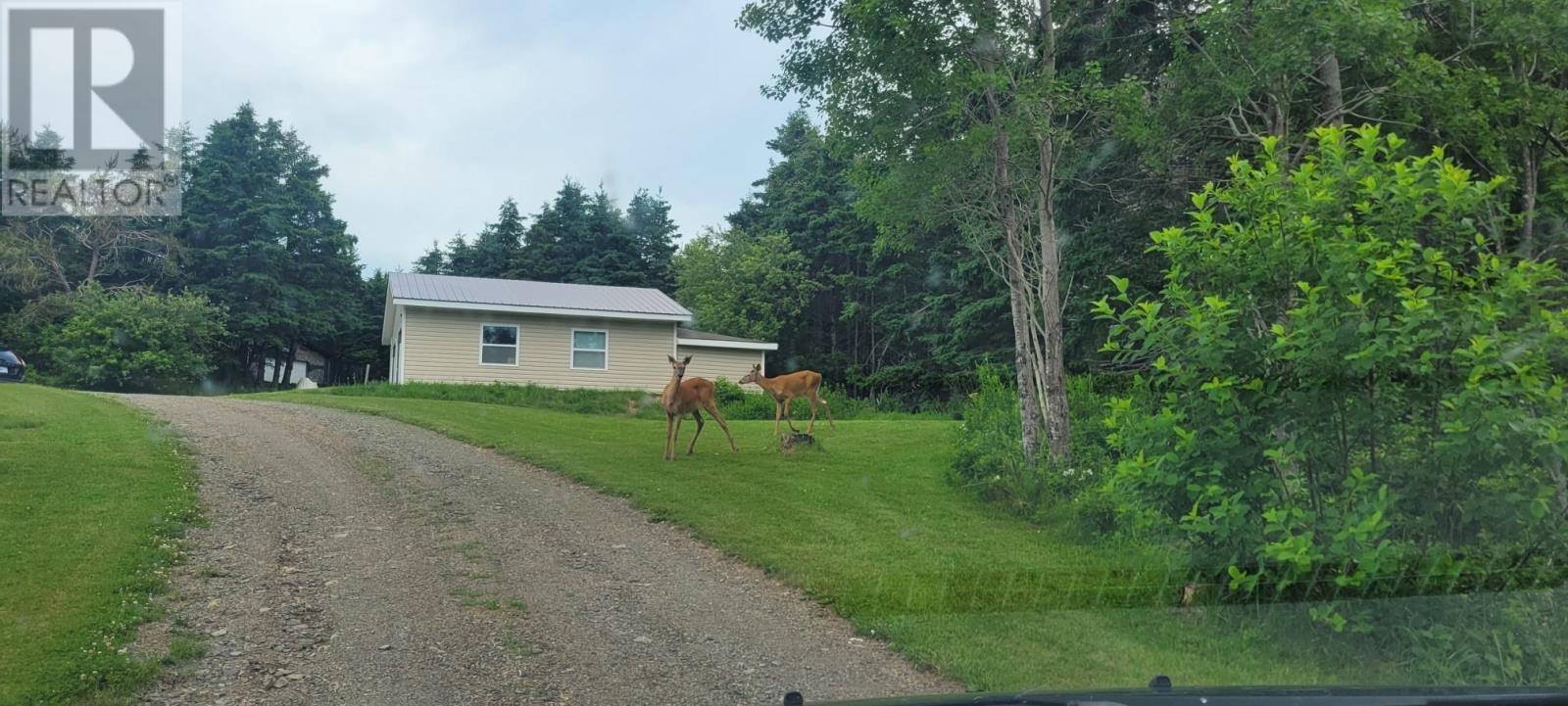 8327 Highway 4, River Bourgeois, Nova Scotia  B0E 2X0 - Photo 9 - 202422920